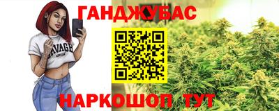 apvp Кингисепп