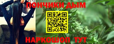 apvp Кингисепп