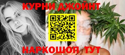 apvp Кингисепп