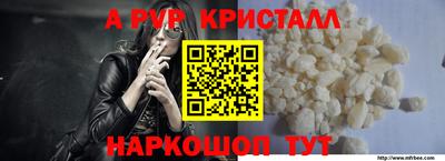 apvp Кингисепп