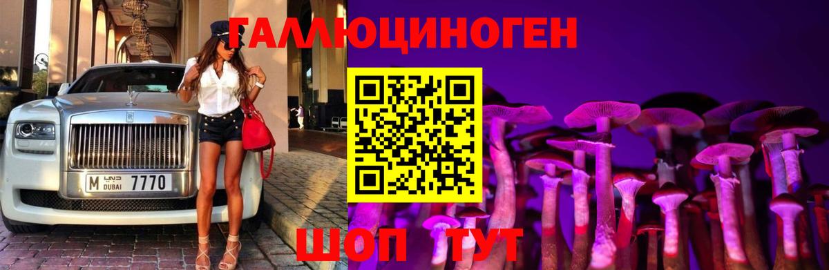 Псилоцибиновые грибы Magic Shrooms  Вход с VPN  Котельники  Псилоцибиновые грибы GOLDEN TEACHER 